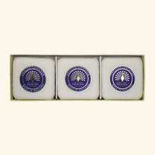 Load image into Gallery viewer, Lavender Gift Box Soap