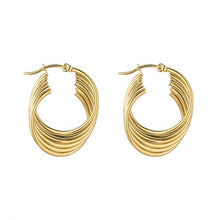 Load image into Gallery viewer, Spiral Earings - Knight &amp; Day