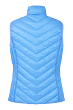 Load image into Gallery viewer, 225 - Reversible Gilet - Blue/White - Fransden