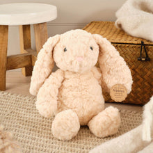 Load image into Gallery viewer, Nibbles the Rabbit