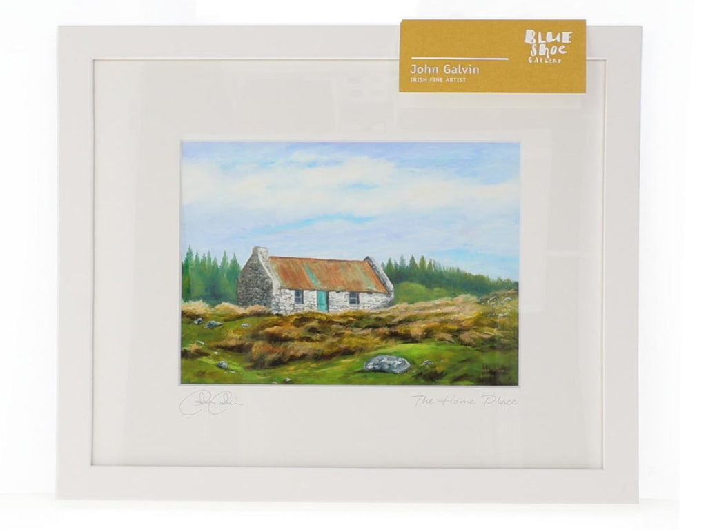 The Home Place - John Galvin