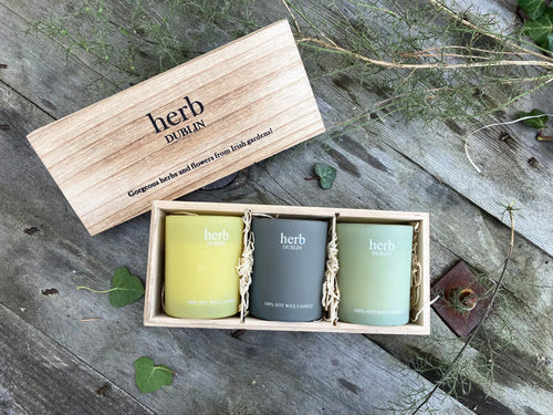 Trio Candle Votives - Herb Dublin