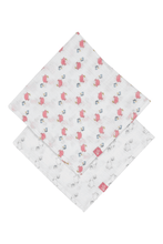 Load image into Gallery viewer, Peter Rabbit 2 pack Muslin Gift Box