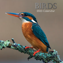 Load image into Gallery viewer, 2023 Wall Calendar- Birds